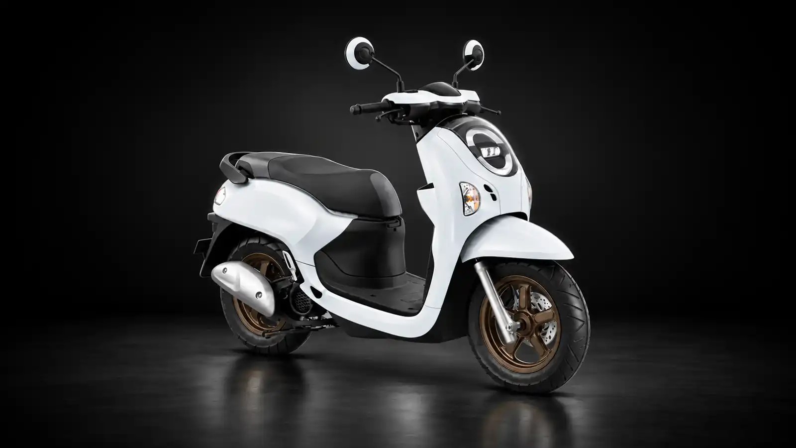 Honda Scoopy Stylish